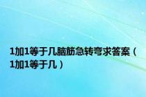 1加1等于几脑筋急转弯求答案（1加1等于几）