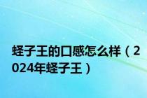 蛏子王的口感怎么样（2024年蛏子王）