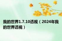 我的世界1.7.10透视（2024年我的世界透视）