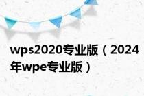 wps2020专业版（2024年wpe专业版）