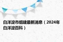 白洋淀市组建最新消息（2024年白洋淀百科）