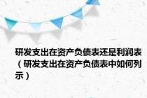 研发支出在资产负债表还是利润表（研发支出在资产负债表中如何列示）