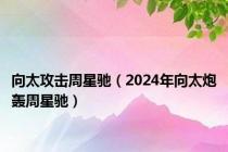 向太攻击周星驰（2024年向太炮轰周星驰）