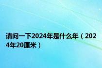 请问一下2024年是什么年（2024年20厘米）