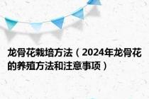 龙骨花栽培方法（2024年龙骨花的养殖方法和注意事项）