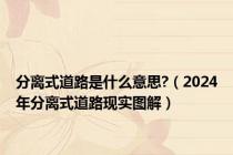 分离式道路是什么意思?（2024年分离式道路现实图解）