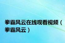 拳霸风云在线观看视频（拳霸风云）