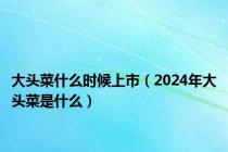 大头菜什么时候上市（2024年大头菜是什么）