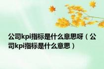 公司kpi指标是什么意思呀（公司kpi指标是什么意思）