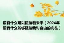 没有什么可以阻挡着未来（2024年没有什么能够阻挡我对自由的向往）