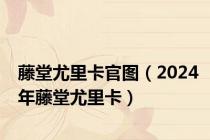 藤堂尤里卡官图（2024年藤堂尤里卡）