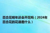 百合花明年还会开花吗（2024年百合花的花语是什么）