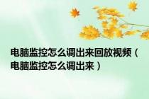 电脑监控怎么调出来回放视频（电脑监控怎么调出来）