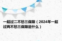 一超过二不愁三保障（2024年一超过两不愁三保障是什么）