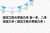 武汉工程大学是几本 是一本、二本还是三本（武汉工程大学是几本）