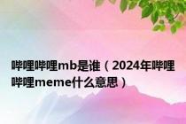 哔哩哔哩mb是谁（2024年哔哩哔哩meme什么意思）