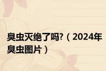 臭虫灭绝了吗?（2024年臭虫图片）