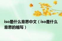 iso是什么意思中文（iso是什么意思的缩写）