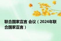 联合国家宣言 会议（2024年联合国家宣言）