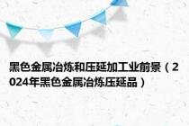 黑色金属冶炼和压延加工业前景（2024年黑色金属冶炼压延品）