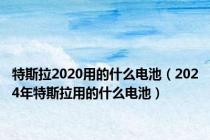 特斯拉2020用的什么电池（2024年特斯拉用的什么电池）