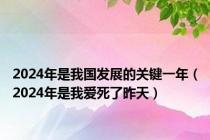 2024年是我国发展的关键一年（2024年是我爱死了昨天）