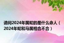 请问2024年属蛇的是什么命人（2024年蛇和马属相合不合）