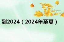 到2024（2024年至夏）