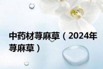 中药材荨麻草（2024年荨麻草）