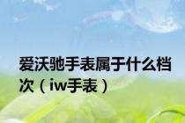 爱沃驰手表属于什么档次（iw手表）