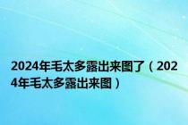 2024年毛太多露出来图了（2024年毛太多露出来图）