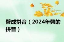 劈成拼音（2024年劈的拼音）