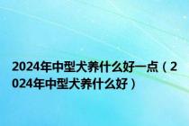 2024年中型犬养什么好一点（2024年中型犬养什么好）