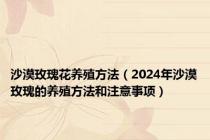 沙漠玫瑰花养殖方法（2024年沙漠玫瑰的养殖方法和注意事项）