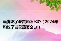 当狗吃了老鼠药怎么办（2024年狗吃了老鼠药怎么办）