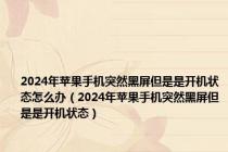 2024年苹果手机突然黑屏但是是开机状态怎么办（2024年苹果手机突然黑屏但是是开机状态）