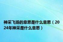 神采飞扬的意思是什么意思（2024年神采是什么意思）