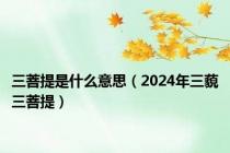 三菩提是什么意思（2024年三藐三菩提）