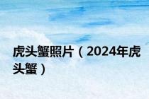 虎头蟹照片（2024年虎头蟹）