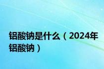 铝酸钠是什么（2024年铝酸钠）