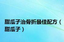 甜瓜子治骨折最佳配方（甜瓜子）