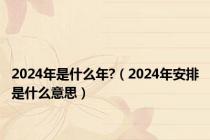 2024年是什么年?（2024年安排是什么意思）