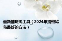 最新捕斑鸠工具（2024年捕斑鸠鸟最好的方法）