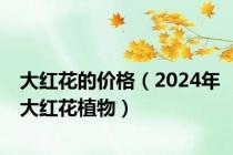 大红花的价格（2024年大红花植物）