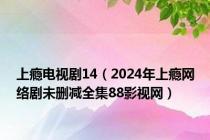 上瘾电视剧14（2024年上瘾网络剧未删减全集88影视网）