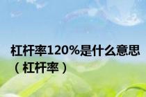 杠杆率120%是什么意思（杠杆率）