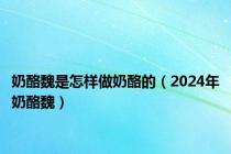 奶酪魏是怎样做奶酪的（2024年奶酪魏）