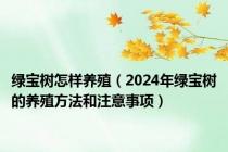 绿宝树怎样养殖（2024年绿宝树的养殖方法和注意事项）