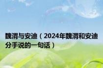 魏渭与安迪（2024年魏渭和安迪分手说的一句话）