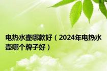 电热水壶哪款好（2024年电热水壶哪个牌子好）